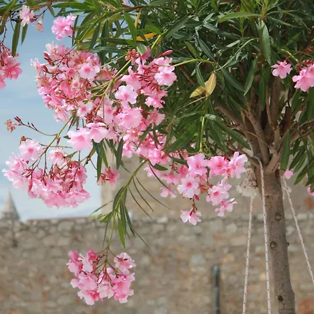 Apartman Kristina, I Soba Primošten