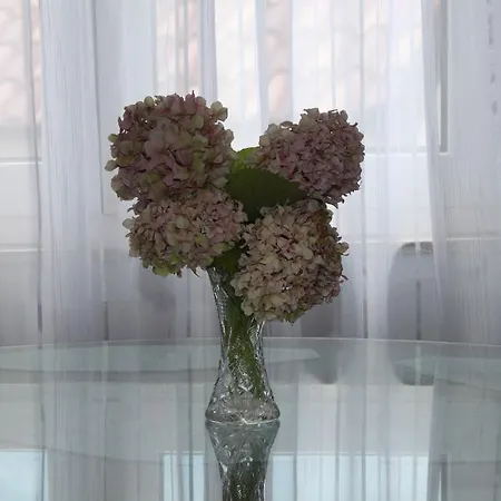 Apartment Kristina, I Soba Primosten