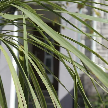 Kristina, I Soba Apartman Primošten