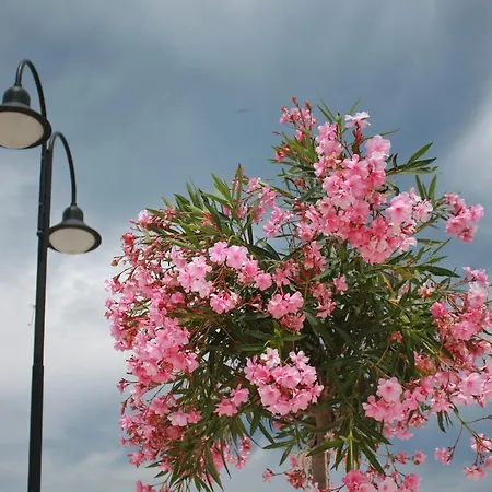 Kristina, I Soba Apartman *