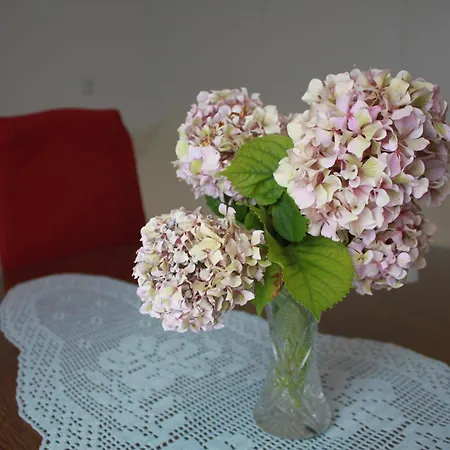 Kristina, I Soba * Primosten