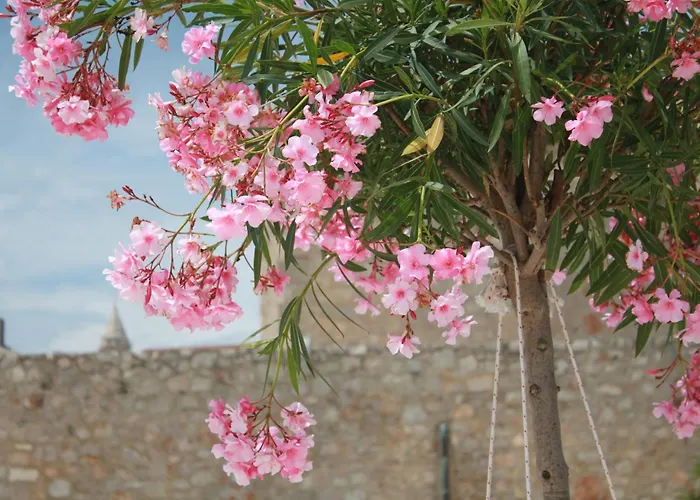 Appartement Kristina Primošten