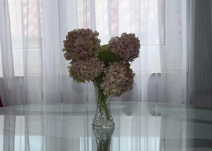 아파트 Kristina, I Soba 프리모스턴