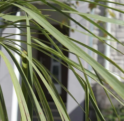 Kristina, I Soba 아파트 프리모스턴