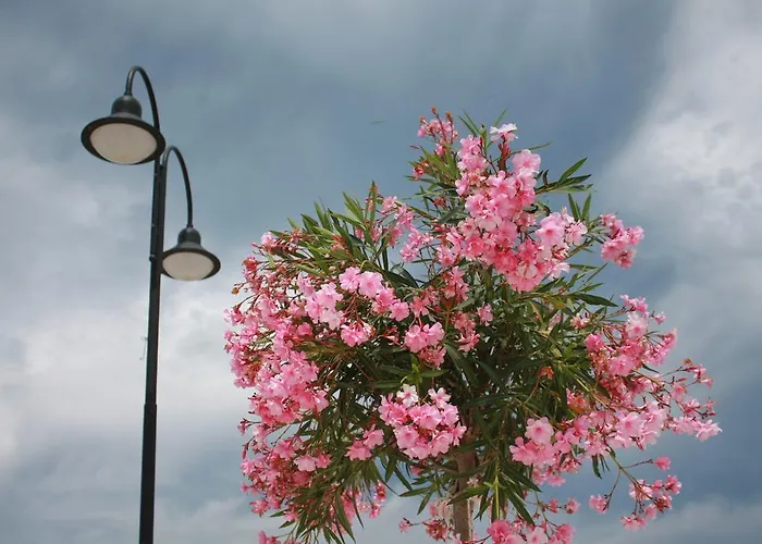 Kristina, I Soba 아파트 *