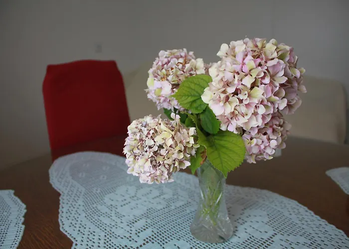 Kristina, I Soba * Primošten